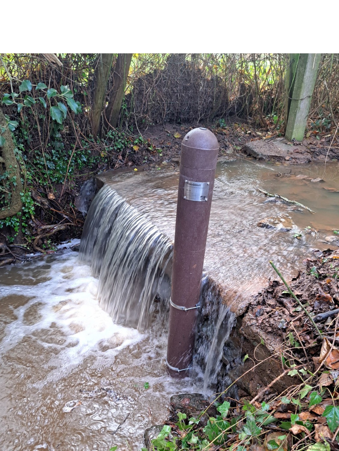 Image of floodalert2_copy.jpg